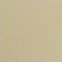 Color Swatch Almond