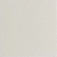 Color Swatch White